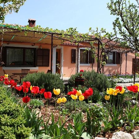 Villa Fragola - Holiday House With Large Garden Tinjan Exterior foto