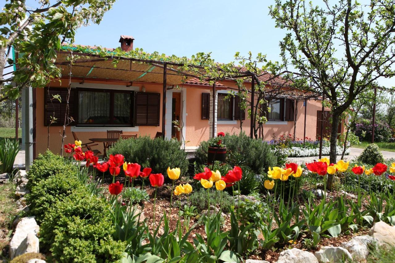 Villa Fragola - Holiday House With Large Garden Tinjan Exterior foto